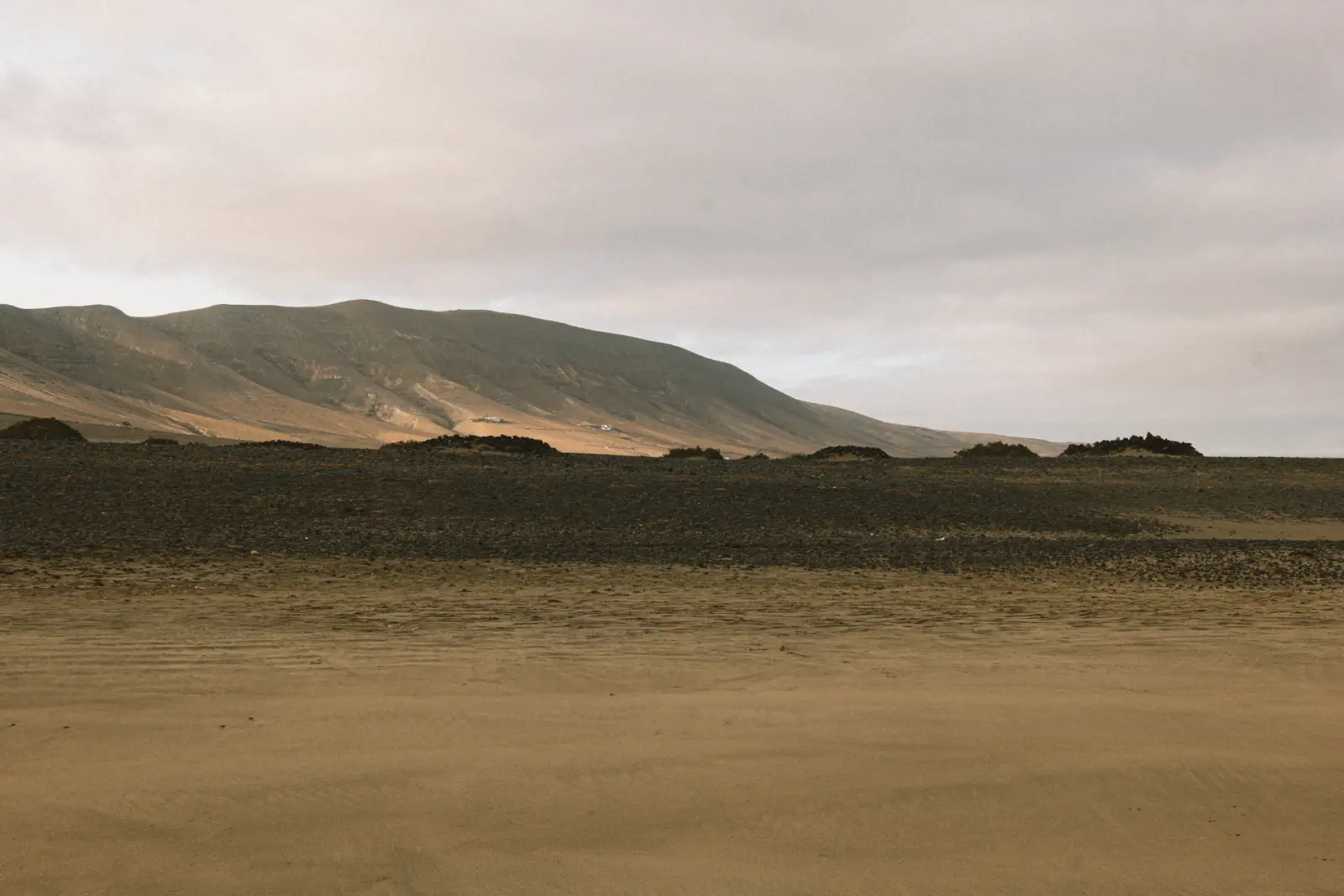 Environment: